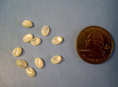 White Oval Shell Cabochons