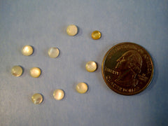 White Round Shell Cabochons