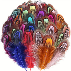 Mixed Colors Natural Pheasant Plumage Feathers