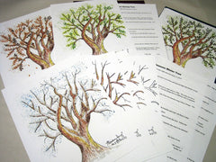 4-Seasons Tree Patterns