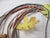 Braided Leather Variety Pack ***Cyber Monday Deal***