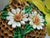 All The Buzz Gourd YouTube Class