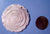Hand Carved Shell "Rose"
