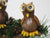 HOOT THE OWL ~ YOUTUBE Video