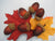 Fall Season - Acorn Bunch (6) pcs. $1.99