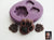 "PAW PRINTS" Silicone Mold