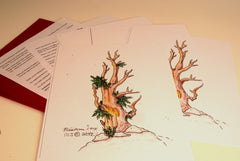 Bristle-cone Tree Pattern