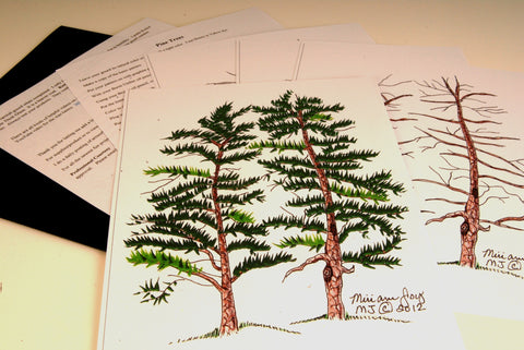 Pine Trees  Pattern