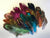 Random Colors -  Feathers "Brilliant Colors"