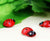 Wooden Lady bugs - Fun and Colorful