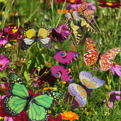 Colorful Butterfly Embellishments