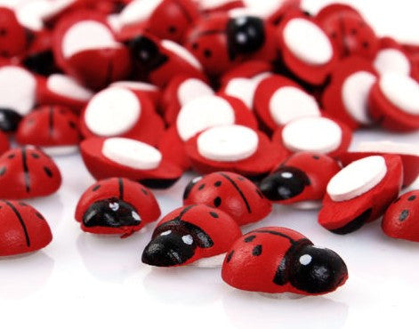 Wooden Lady bugs - Fun and Colorful